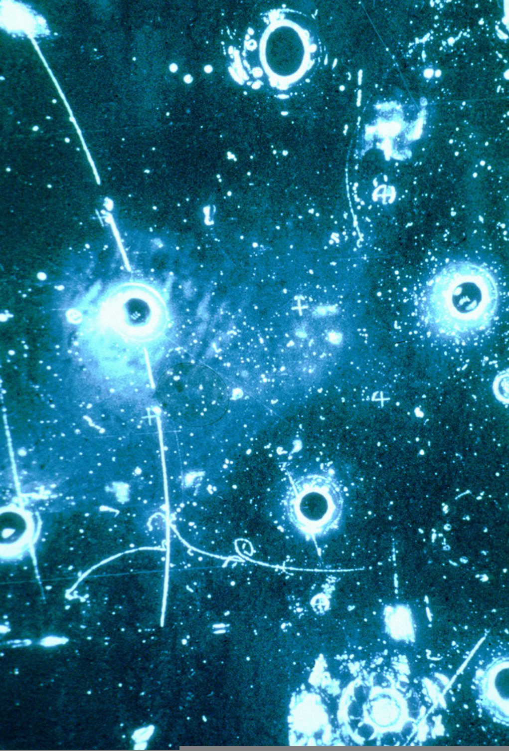 Leptonic event in Gargamelle bubble chamber