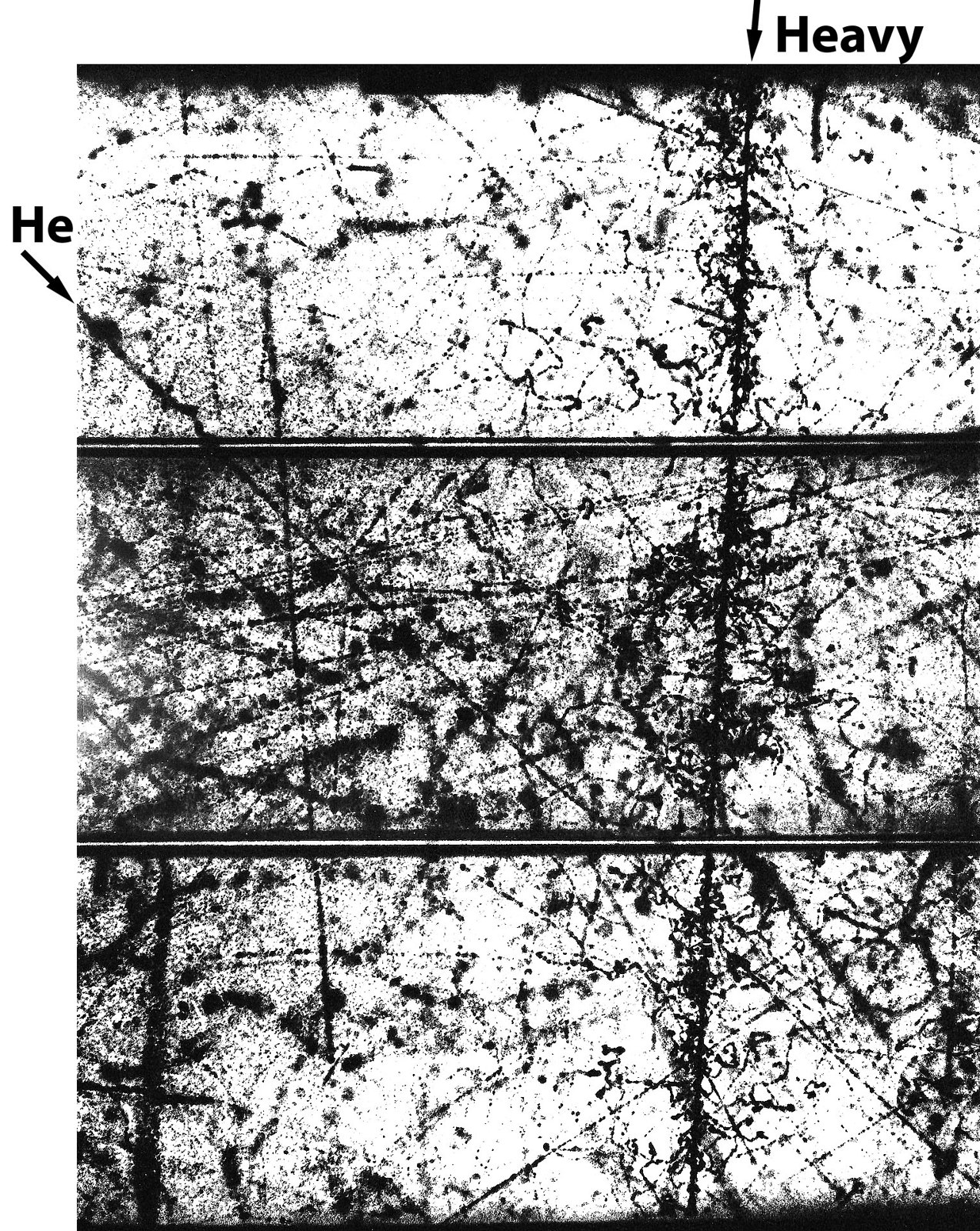 Cloud Chamber Photo of Heavy Nucleus