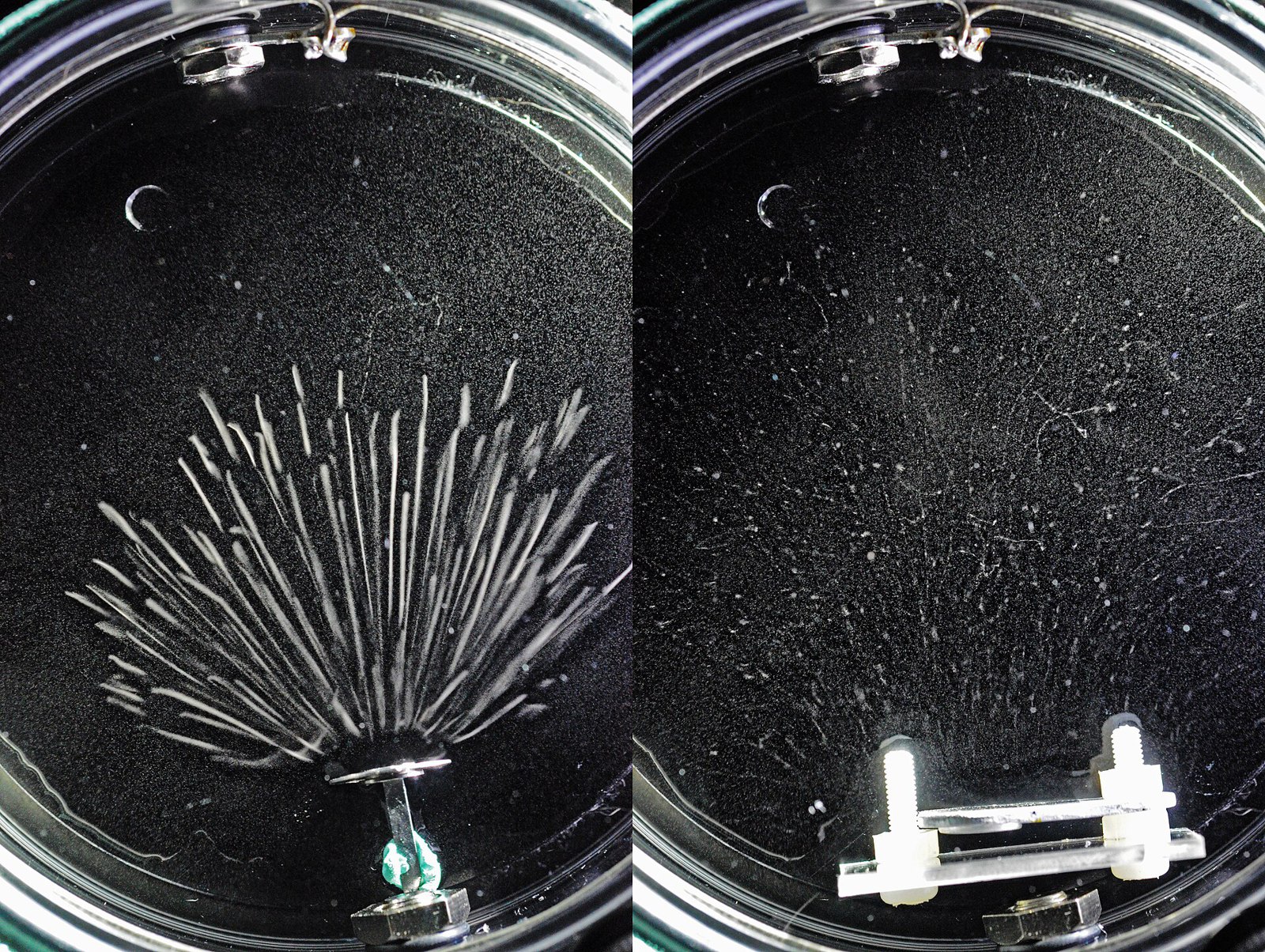 Particle Tracks in AWAN Expansion Cloud Chamber