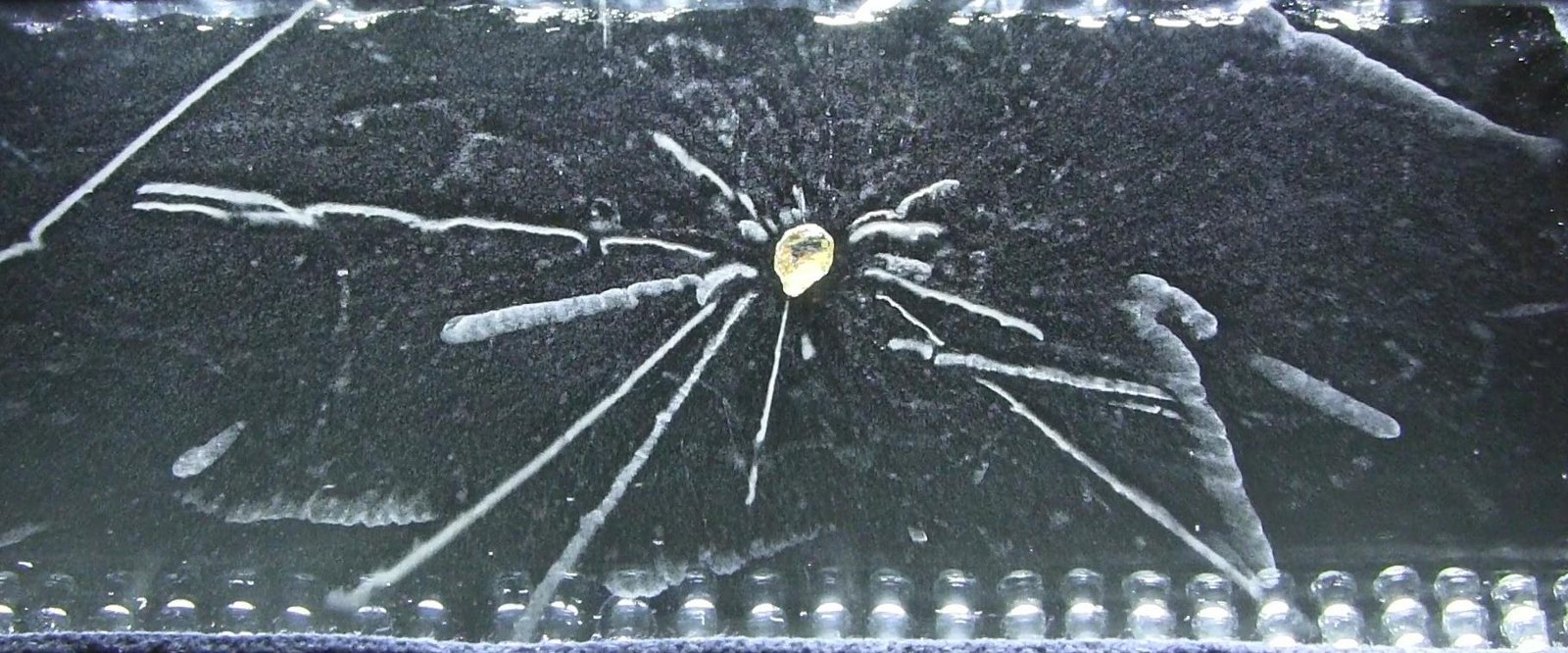 Radioactivity of a Thorite mineral seen in a cloud chamber