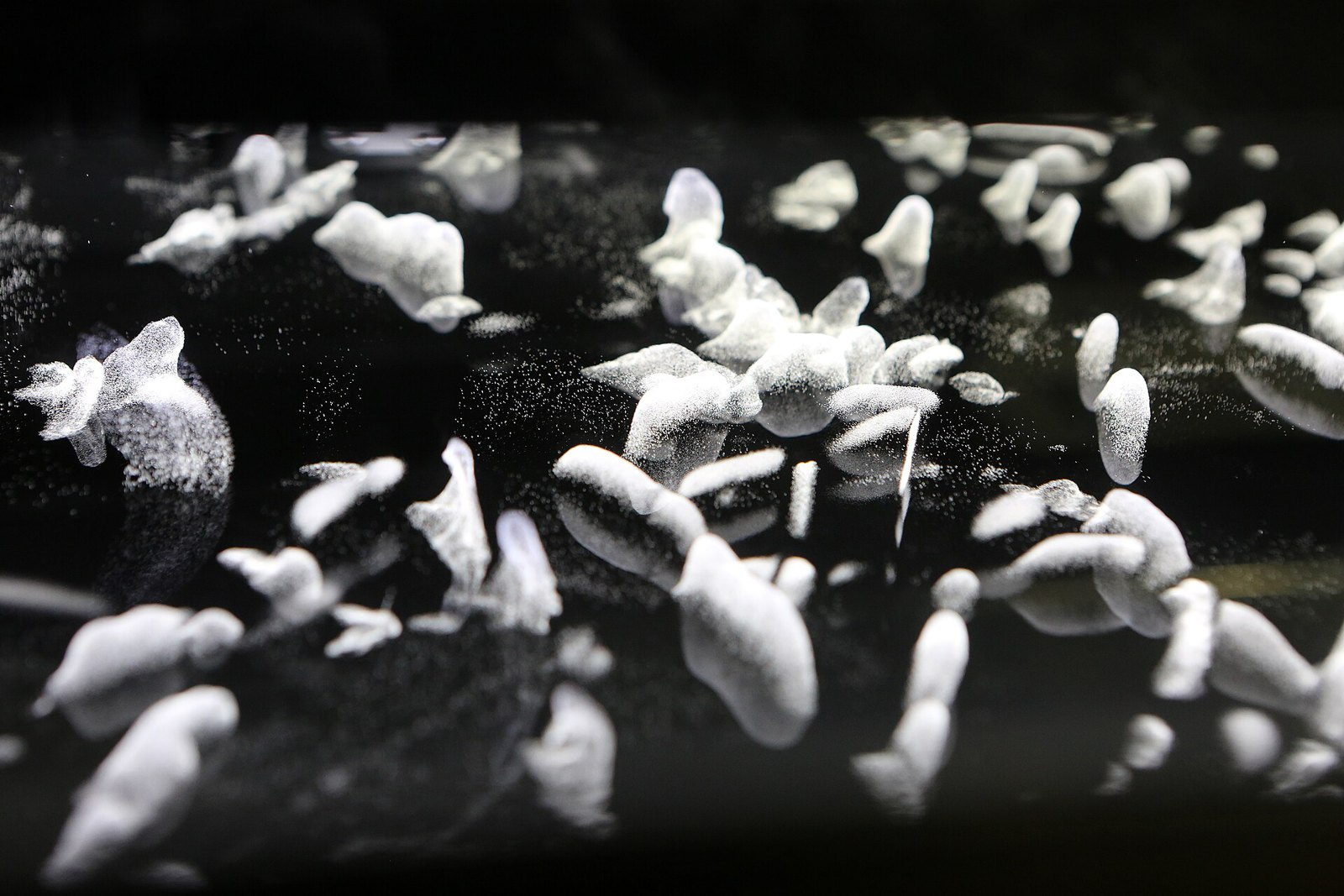 Vapor being used in a cloud chamber